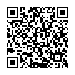 从这里面倒也是能够看出来丁叮不是一般的大气二维码生成