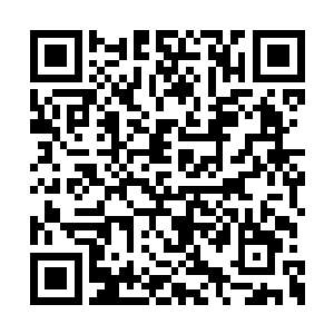 从进了太子寝殿开始那腰杆子就没有再直起来过二维码生成