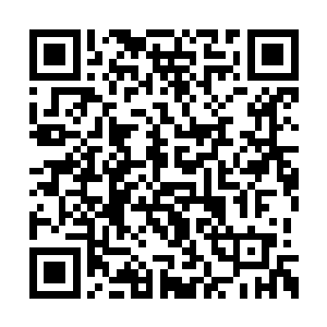 从进入到这个碧莲山内她就没有咄咄逼人的时刻二维码生成