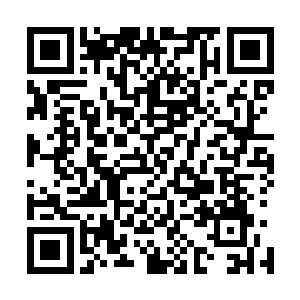 从进入青木原林海的可隐身纸人那里我不曾感知到这样感觉二维码生成