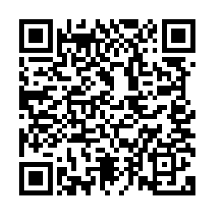 从远距离上他实在无从判断双颊红晕的对方到底是个什么年纪二维码生成