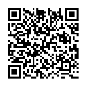 从那一天开始金钱的基因就在纳斯里的心中扎根了二维码生成