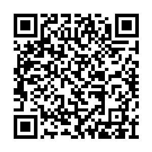 从那个长发男子一拳将波塞冬的信徒打退的时候二维码生成
