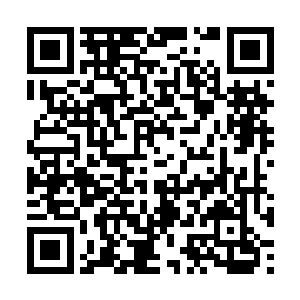 从那个黑洞当中忽然出现了一张苍白而扭曲的巨脸二维码生成