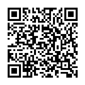 从那以后熵族人成为了铜钹山这一块区域最强大的势力二维码生成