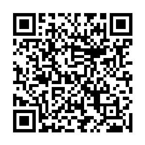 从那伙计的手中将那块隐含着成形道纹的元石拿到手中二维码生成