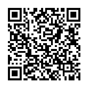 从那双眼睛之中龙傲天丝毫看不到一丝人性的气息二维码生成