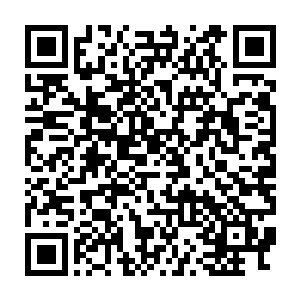 从那天开始每一位钢铁连的士兵包括连长赵海波都把杨洛当成了偶像二维码生成