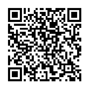 从那巨树上垂落下的碧绿之光中蕴藏了难以想象的滂湃生机二维码生成