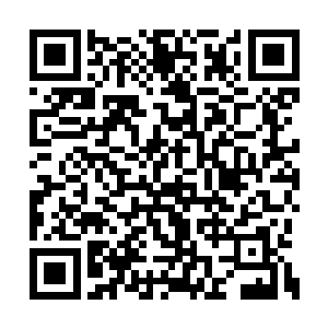 从那道德宫秘境里得到一根火属性炼器材料翎羽二维码生成