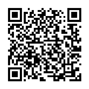 从里面倒出了几丝粉末在这长衫男子身上的血洞上二维码生成