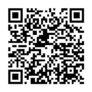 从里面取出一件簇新的墨绿缠枝桃花刺绣圆领马甲二维码生成
