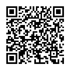 从钱包里掏出来里面所有的钱对着陈放就扔了过去二维码生成