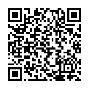 从陛下到我以及文武百官都想知道你是从何而来的二维码生成