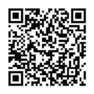 从随身携带的公文包中取出一沓资料递到半老徐娘面前二维码生成