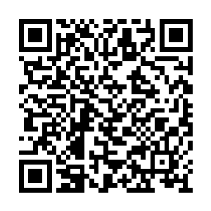 从随身携带的包里迅速拿出几张纸扔到了他身上二维码生成