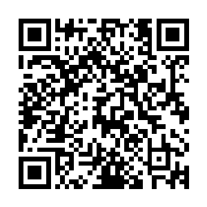 从飞机的尾部准备打开机舱后面的另一个货舱们来帮他们卸行李二维码生成