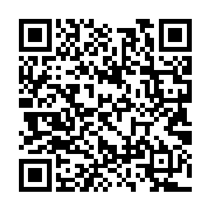 从飞艇上空降下去进入到森林之中的太夏军团……二维码生成