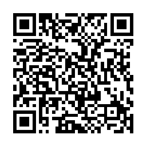 从餐桌一角的公文包里取出了两份文件压在手掌下方二维码生成