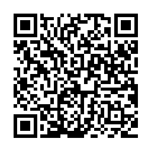 从麻叶童子身旁的大叶子上已经放了三四条鱼这点就能看得出来二维码生成