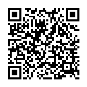 从龙傲天的五个手指中发出了一道道丝状的劲气二维码生成