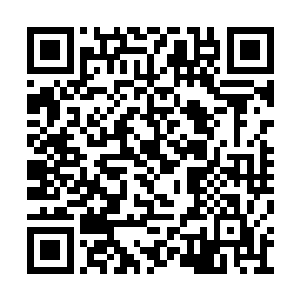 仓井秋看似娇柔的身子被揍得整个的弯弓了起来二维码生成