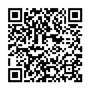 仓山或许是在地图刻录之前没人发现里面的灵脉所以没标示的吧二维码生成