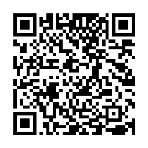 仓库外传来噼里啪啦的东西碎裂的声音以及人们的惊叫惨叫声二维码生成