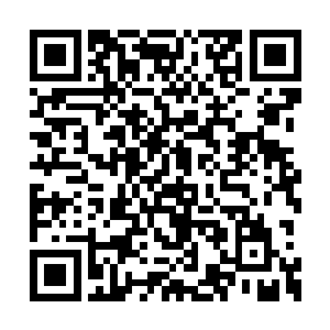 仓库负责人应该是和那两个医护人员作登记去了二维码生成