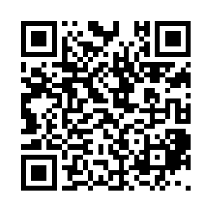 仓教授就是想要发表一篇重量级的论文二维码生成