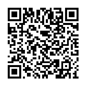 仔细一想就知道这是之前被绑着祭品流下的血液二维码生成