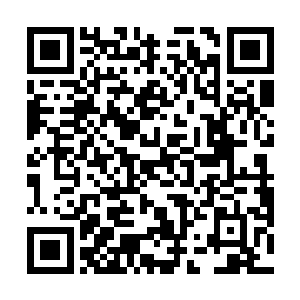 仔细回想第一次用轻蔑的眼神看待那个翩翩青年的一幕二维码生成