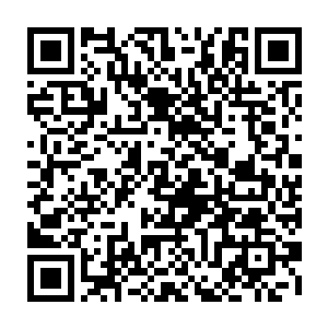 仔细查找跟萨巴斯库相关资料的向婉最后艰难的从一份英文游记当中找到点信息二维码生成