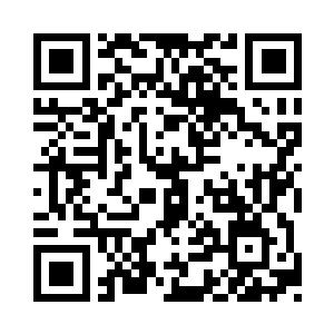 仔细看去竟是那先前从斗兽棋中逃走的冰龙二维码生成