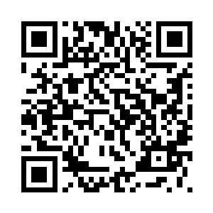 仔细翻找着现在还可以联系的对象二维码生成