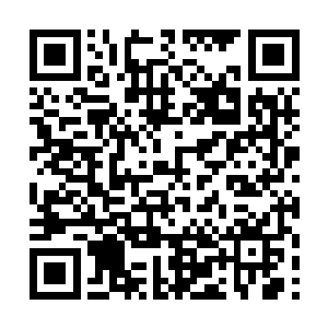 他……他要杀梅姐……威胁我……所以……所以……二维码生成