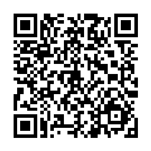 他一下子就成了堂会今天晚上最受男人妒忌女人痴迷的客人二维码生成