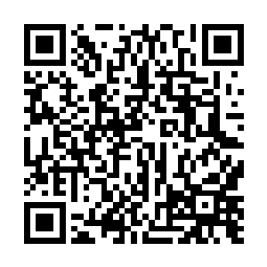 他一下就看到了雨果那双琥珀色的眸子金光闪闪的一片二维码生成