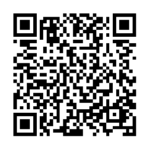 他一个一个的将所有人全都收到了他的修罗空间里面二维码生成