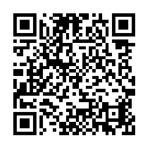 他一个人跑到了土丘之上菜回头去看那两位保镖二维码生成