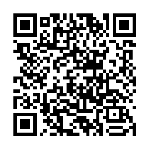 他一个外地调来的县长又怎么可能有那么大的本事二维码生成