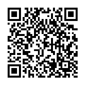 他一个舅舅多年的风湿病还是秦洛开的方子治疗好的二维码生成