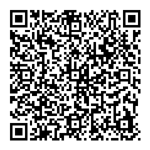 他一出现　对着虚空就是一阵爆喝　用一时刻　覆盖茅山的浩然之气瞬间出现　化作滚滚雷霆对着散修之人劈去　请百度一下二维码生成