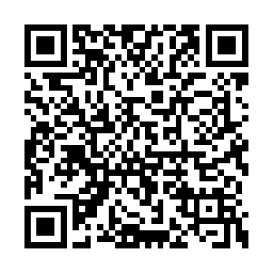 他一双黝黑而清澈的大眼睛一瞬不瞬地望着苏落二维码生成