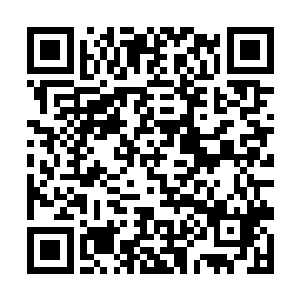 他一听对方竟然是市委党组书记魏振伦的儿子魏传宝二维码生成