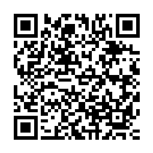 他一大早便拿着花剪心不甘情不愿地在别墅前的花园里劳动着二维码生成