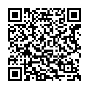 他一定会把你治疗大河大人的事密告给祭祀大人二维码生成