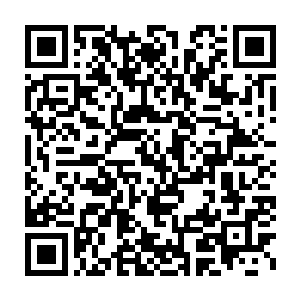 他一定能够把活泼可爱能讲一口华夏语的嘉宝公主带到世人的眼前二维码生成