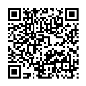 他一定能查到其中都谁参与了谋害他那个宝贝妻子二维码生成