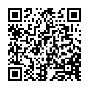 他一度以为母亲割腕死在杨曦的浴缸里是为了报复二维码生成